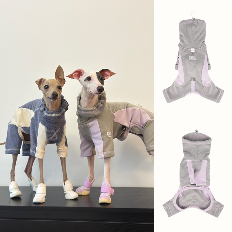 Winter Clothing Leg Warmers - Vestiti per cani per cani autunnali