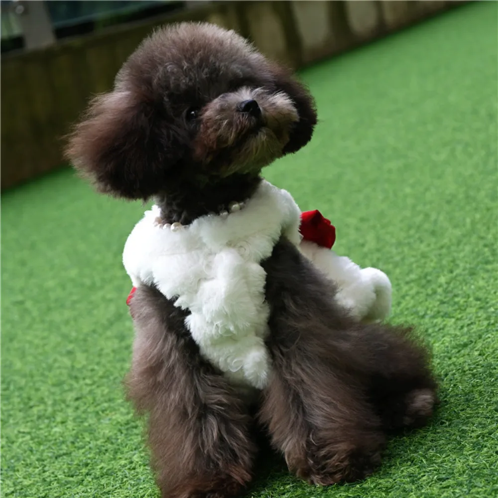 Winter Clothing For Dogs - Vestiti per animali domestici in pelliccia