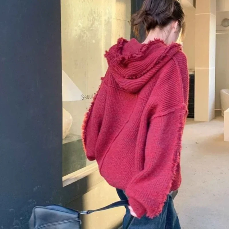 Winter Clothing Essential - Felpe con cappuccio spesse autunno e