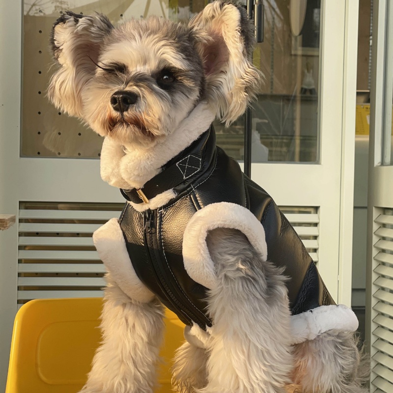 Winter Clothing For Dogs - Pet Autunno Inverno Velluto Gilet senza