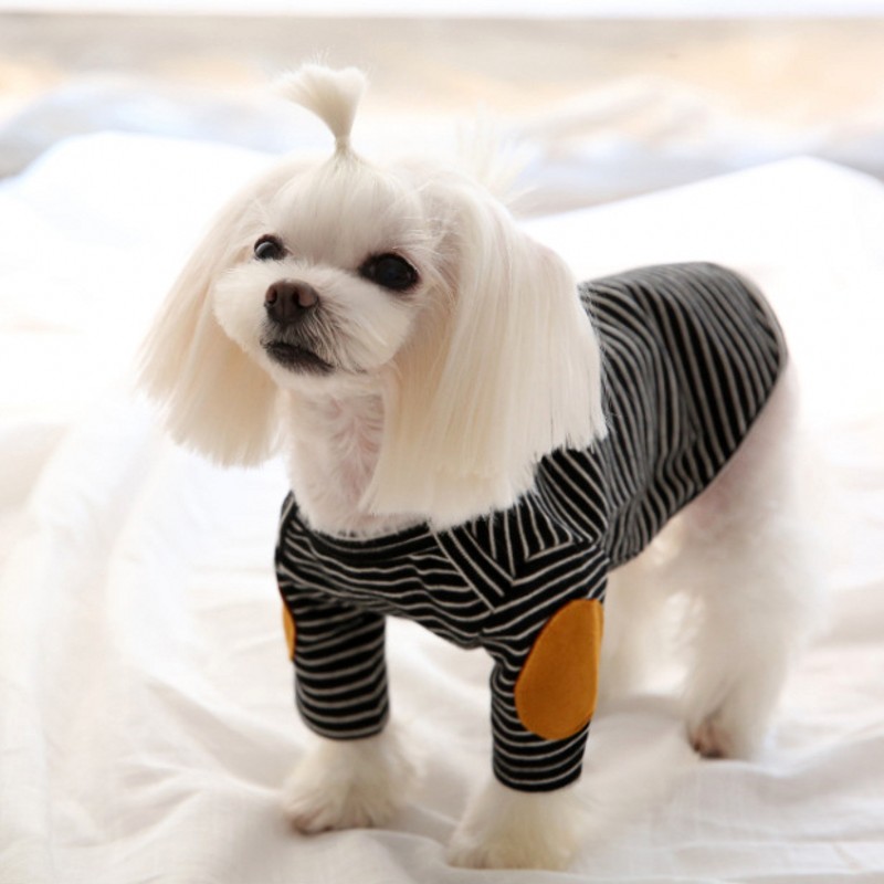 Felpe con cappuccio sottili pe - Winter Clothing For Dogs recensione e prezzo