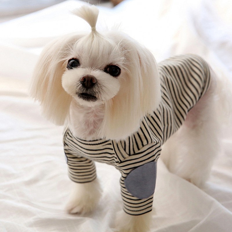 Felpe con cappuccio sottili pe - Winter Clothing For Dogs recensione e prezzo