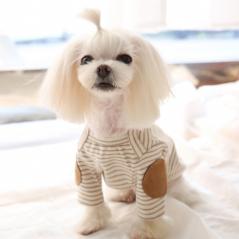 Felpe con cappuccio sottili pe - Winter Clothing For Dogs recensione e prezzo