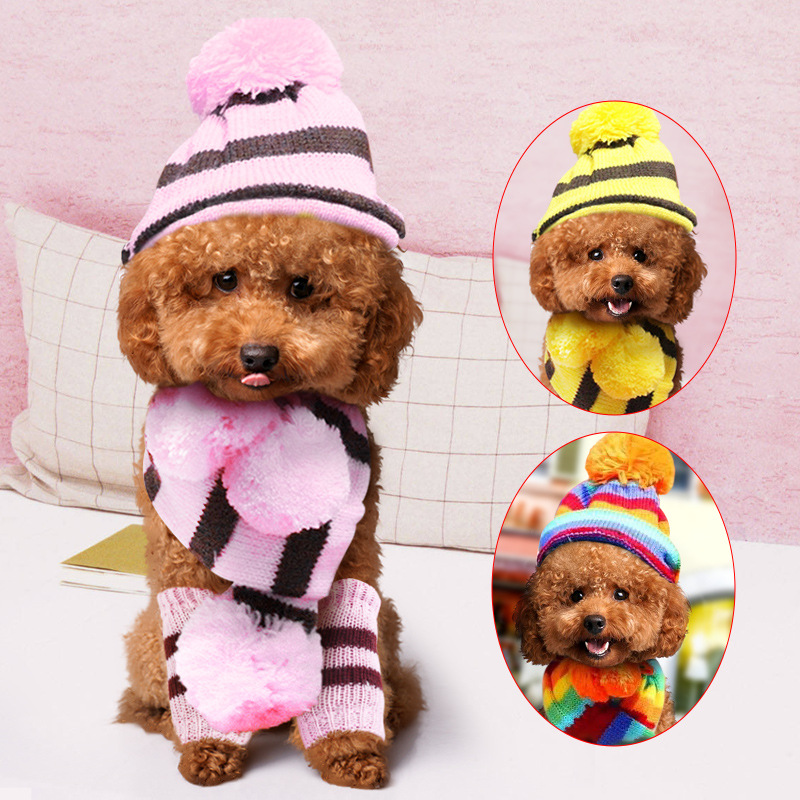 Set invernale per cani lavorat - Winter Clothing Leg Warmers recensione e prezzo