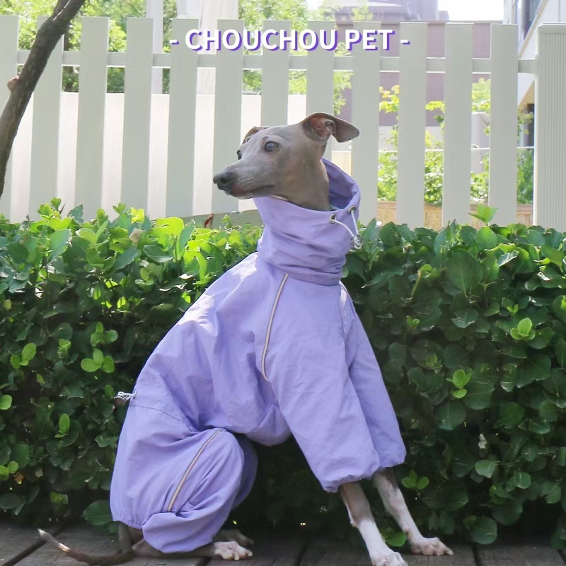Impermeabile levriero italiano - Winter Clothing For Dogs recensione e prezzo