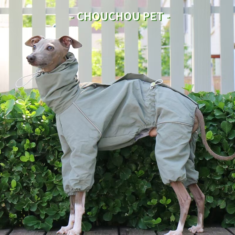 Impermeabile levriero italiano - Winter Clothing For Dogs recensione e prezzo