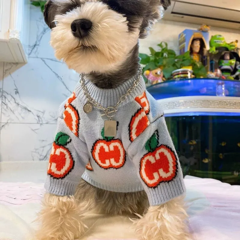 Maglione con lettere Vestiti p - Winter Clothing For Dogs recensione e prezzo