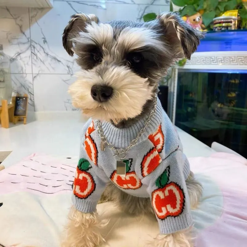 Maglione con lettere Vestiti p - Winter Clothing For Dogs recensione e prezzo