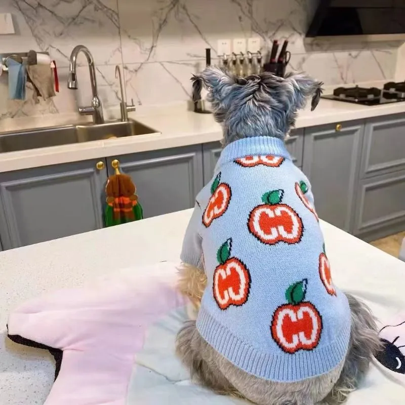 Maglione con lettere Vestiti p - Winter Clothing For Dogs recensione e prezzo