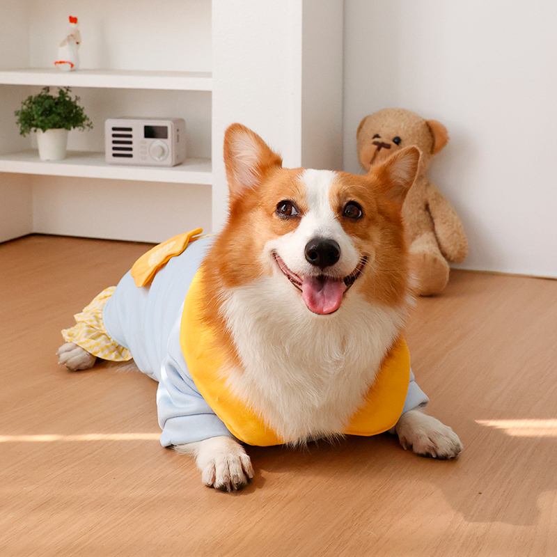 Abbigliamento per cani - Scald - Winter Clothing Leg Warmers recensione e prezzo