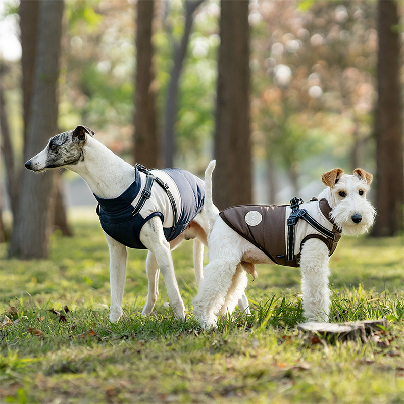 Gilet per cani caldo con imbra - Winter Clothing For Dogs recensione e prezzo
