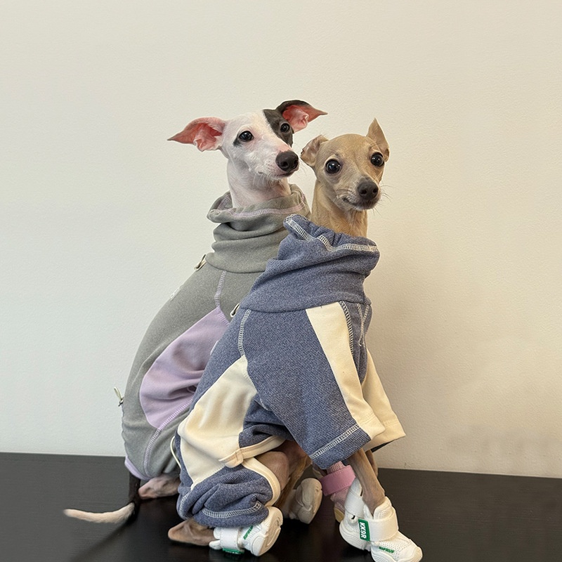 Vestiti per cani per cani autu - Winter Clothing Leg Warmers recensione e prezzo