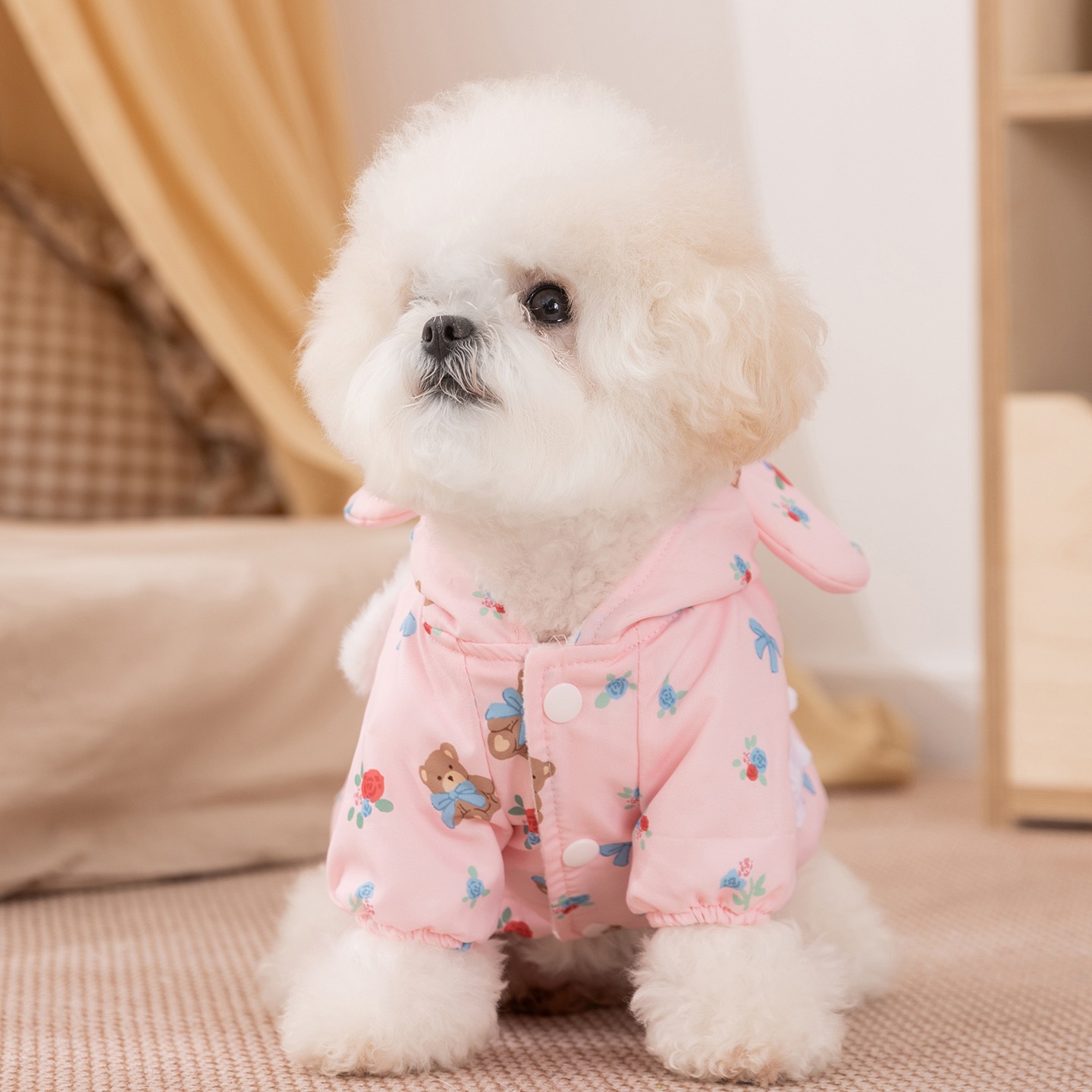 Vestiti per cani invernali con - Winter Clothing For Dogs recensione e prezzo
