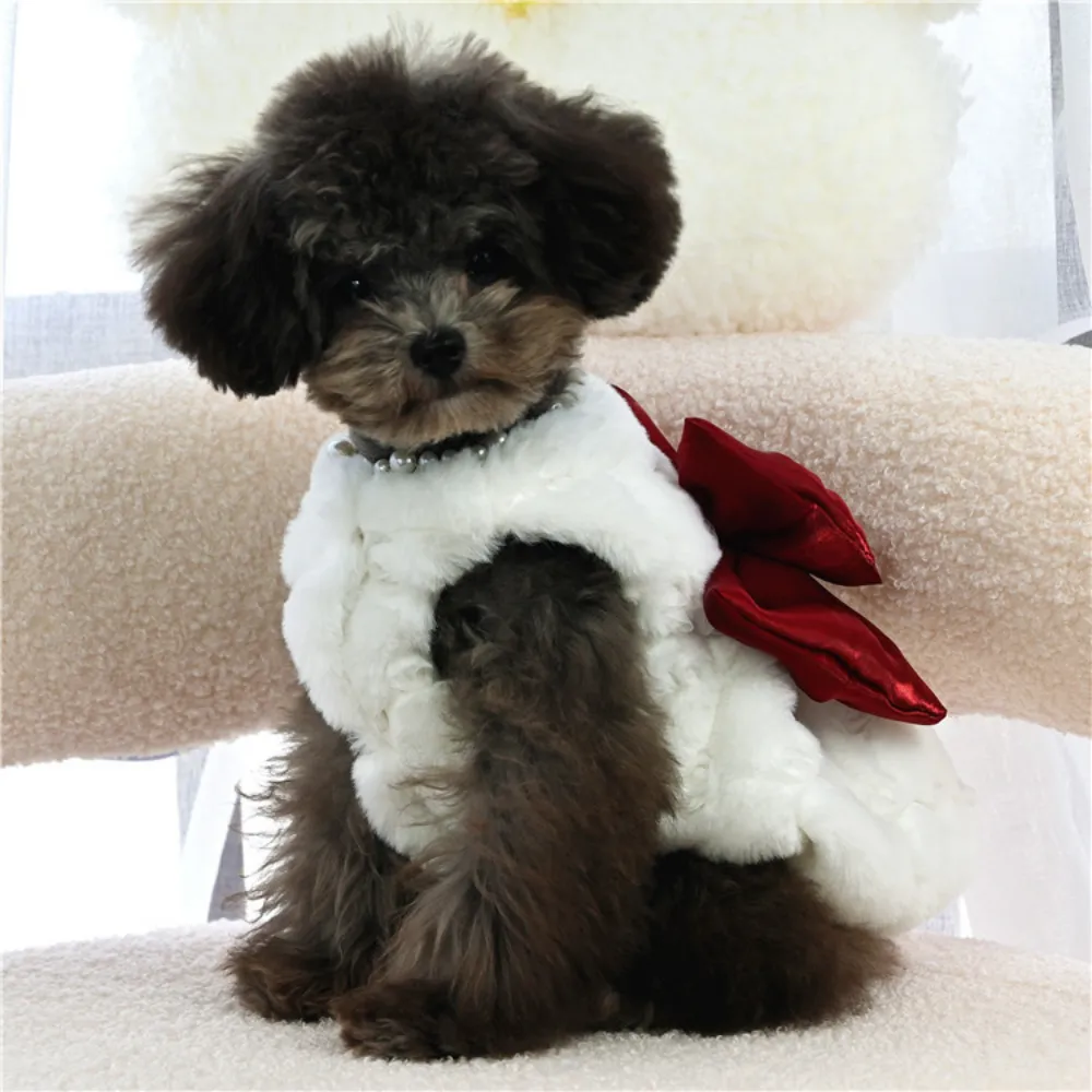 Vestiti per animali domestici  - Winter Clothing For Dogs recensione e prezzo