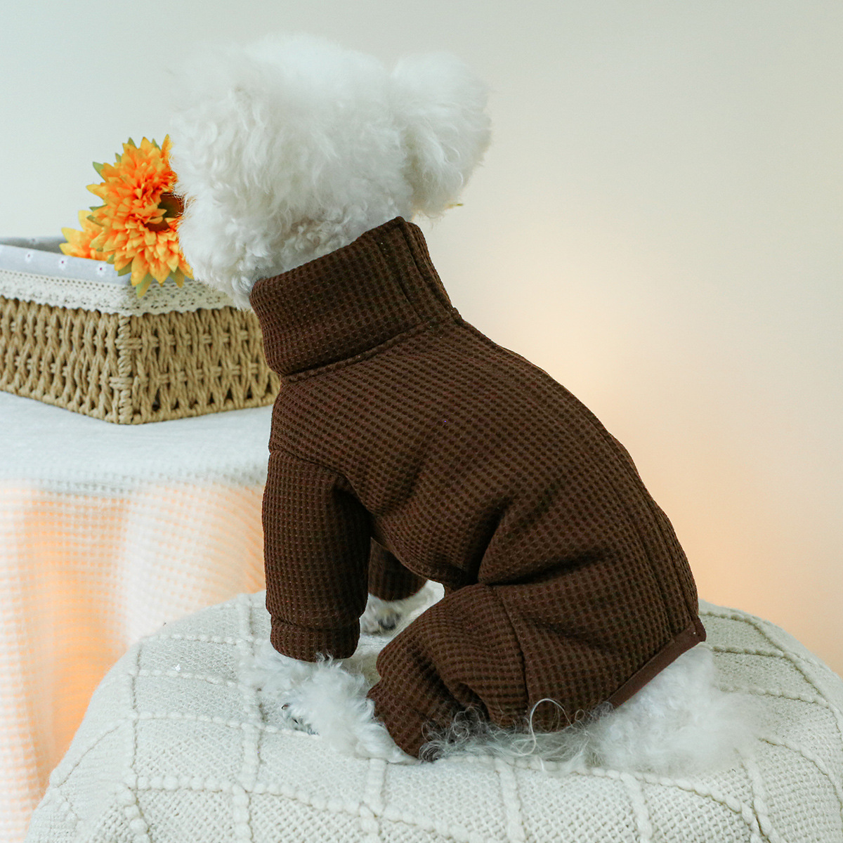 Costumi invernali per cani aut - Winter Clothing For Dogs recensione e prezzo