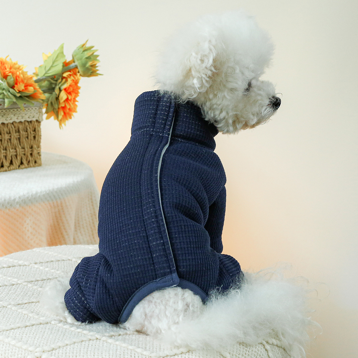 Costumi invernali per cani aut - Winter Clothing For Dogs recensione e prezzo