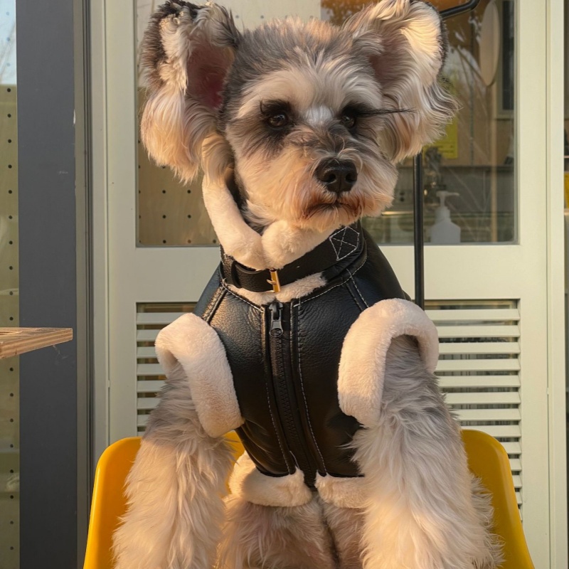 Pet Autunno Inverno Velluto Gi - Winter Clothing For Dogs recensione e prezzo