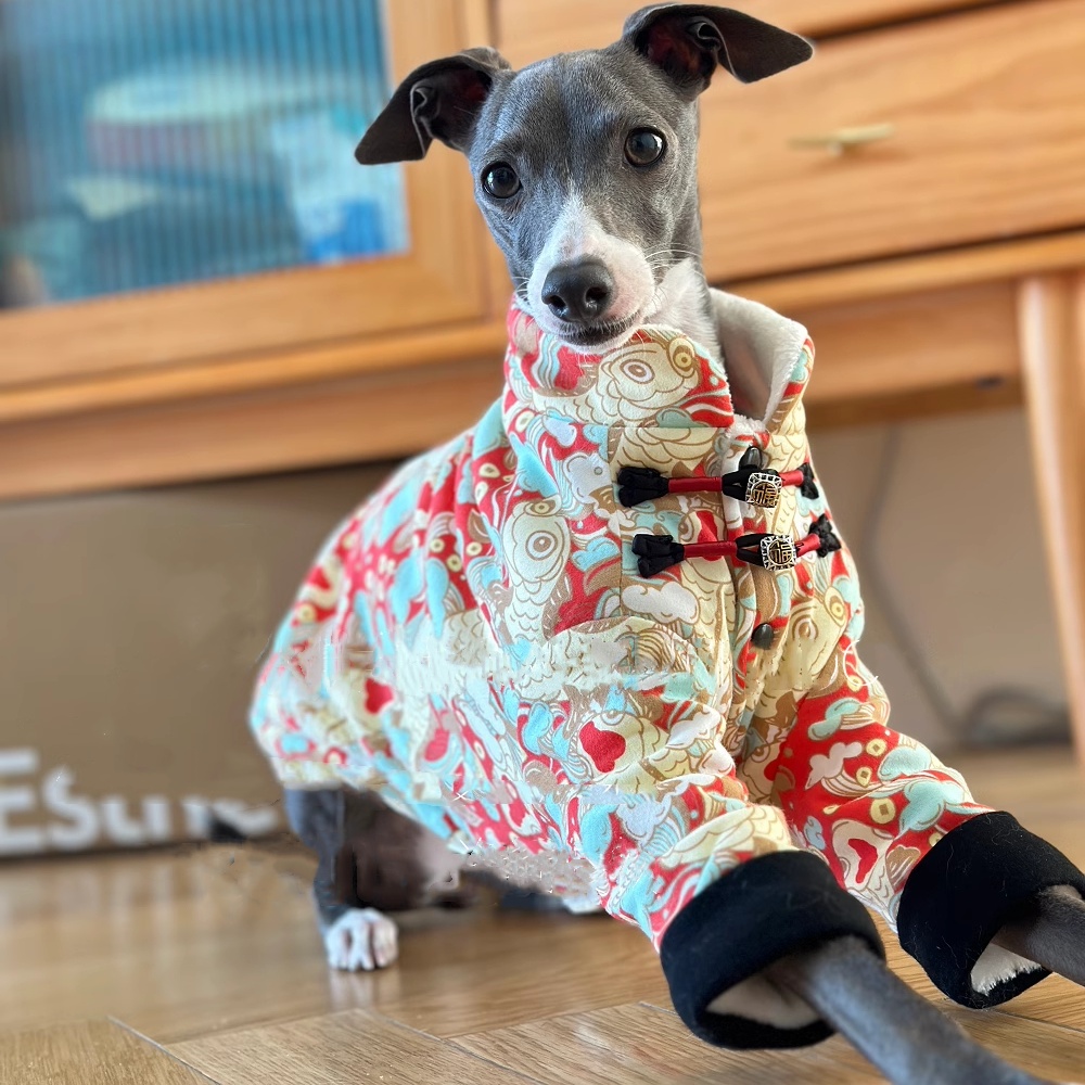 Giacca in pile con fibbia con  - Winter Clothing For Dogs recensione e prezzo