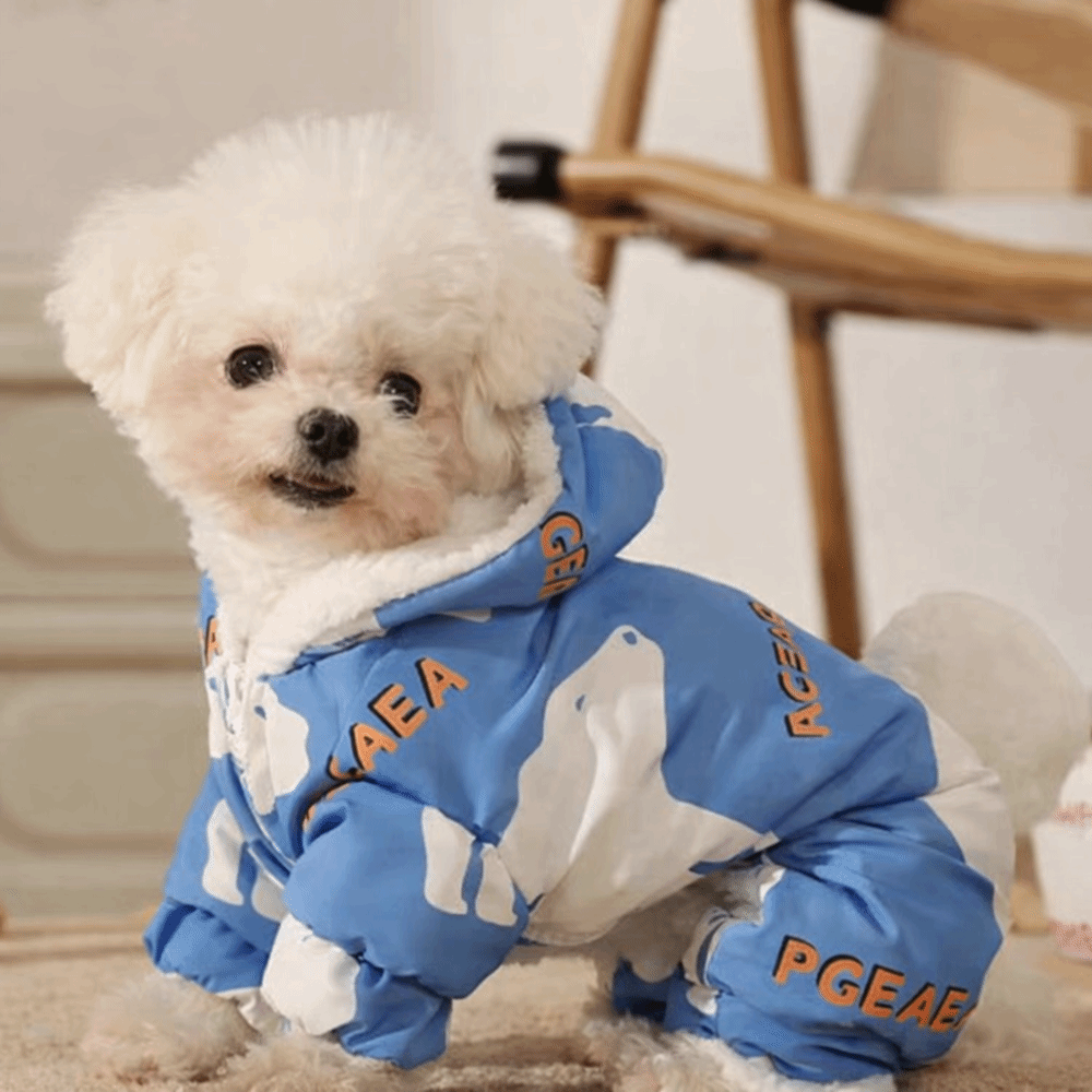 Carino caldo vestiti invernali - Winter Clothing For Dogs recensione e prezzo