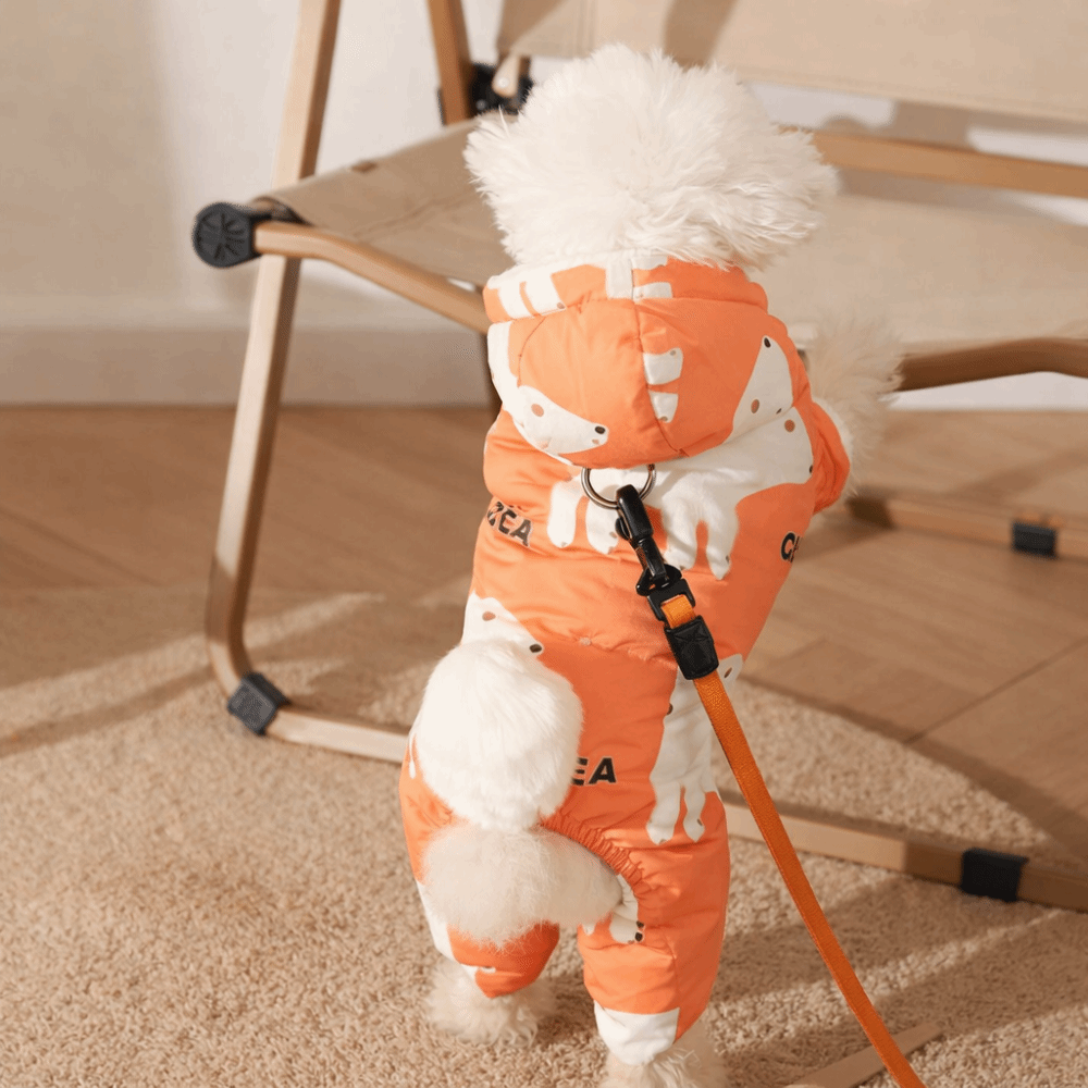Carino caldo vestiti invernali - Winter Clothing For Dogs recensione e prezzo